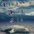 Please don't die